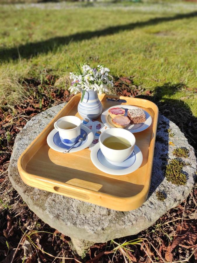 Slite Gothem Viby Bed&Breakfast المظهر الخارجي الصورة
